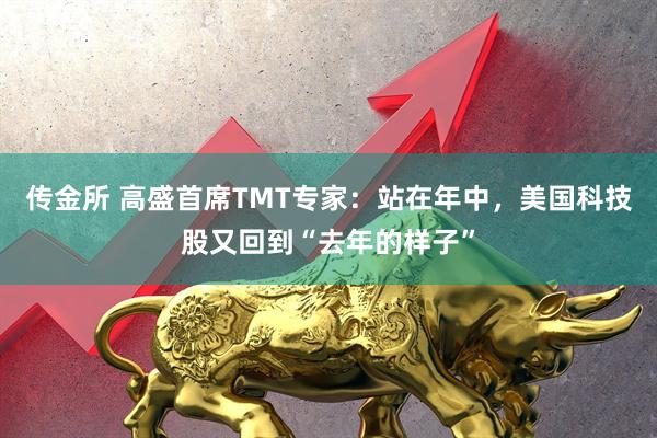 传金所 高盛首席TMT专家：站在年中，美国科技股又回到“去年的样子”