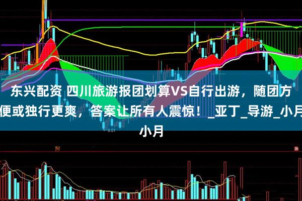 东兴配资 四川旅游报团划算VS自行出游，随团方便或独行更爽，答案让所有人震惊！_亚丁_导游_小月
